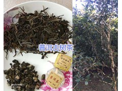 普洱古樹茶/無量山古樹茶_云南古樹茶葉銷售圖2