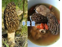 麗江特產(chǎn)羊肚菌-#香格里拉羊肚菌圖2