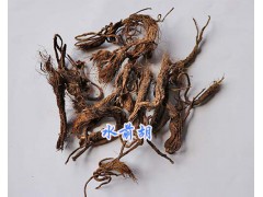 云南馬尾黃連成品&三七根/水前胡批發(fā)-辛夷花多少錢一斤圖2