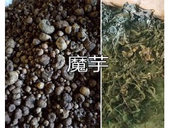 百部批發(fā)價(jià)格/萊菔子（蘿卜籽）批發(fā)-紅河蒙自魔芋出售圖3