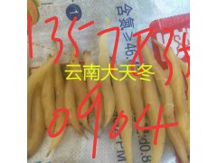 麗江大天冬—云南大天冬鮮貨-天冬成品13988863301圖1