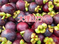 大理荔枝、山竹批發(fā)-087164155848熱帶水果供應(yīng)圖2