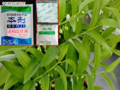 黃精地里用什么除草劑|黃精可以打除草劑嗎?圖1