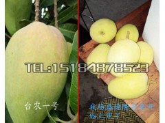 云南哪里芒果比較多?今日芒果價(jià)格是多少?圖3