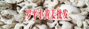 云南小黃姜的怎么樣[特點]?