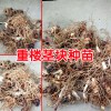 重樓種子直播種植技術(shù)方法與事項(xiàng)