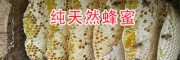 云南麗江純正土蜂蜜-新開割蜂蜜銷售