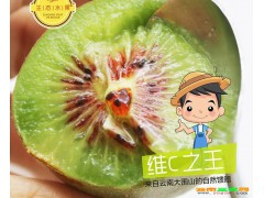 獼猴桃高產(chǎn)種植技術(shù)資料大全_附獼猴桃價(jià)格大全圖3