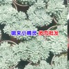 多肉植物昆明#昆明多肉植物批發(fā)市場(chǎng)@昆明多肉園藝