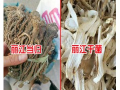 當(dāng)歸的價(jià)格多少錢一斤?-種植當(dāng)歸的畝效益麗江農(nóng)特產(chǎn)信息網(wǎng)圖2