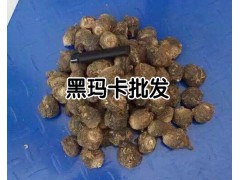 云南會澤黑瑪卡批發(fā)價格_黑瑪卡干果片報價_云南瑪卡供應(yīng)商圖3