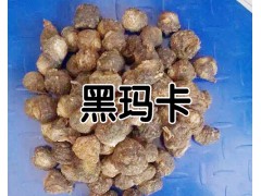 麗江瑪咖哪里有賣？_云南麗江瑪咖食用方法圖2