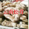 姬松茸價(jià)格多少錢(qián)一斤?麗江農(nóng)特產(chǎn)信息網(wǎng)