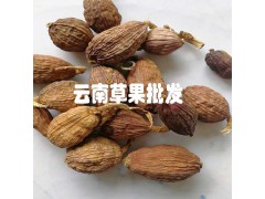 草果價(jià)格|今年草果價(jià)格行情|草果哪里的好(品牌)圖2