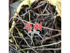 皂角草藥哪里買呢?圖1