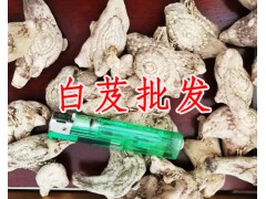 哪里有白芨|白芨產(chǎn)地|貴州白芨供應(yīng)商|中藥材種植專(zhuān)業(yè)合作社圖3