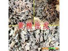 黃精種植適宜的條件_黃精播種是在什么時(shí)間?圖2