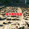 云南哪有混播草坪？冬季混播草坪基地-安寧草坪