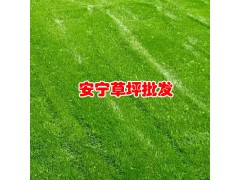 混播草生長(zhǎng)高峰在什么時(shí)候?_圖3