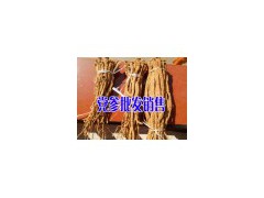 貴州哪里賣黨參&黨參生產(chǎn)價(jià)-畢節(jié)黨參供應(yīng)圖2