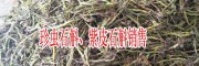 云南石斛多少錢一斤?_石斛種植家批發(fā)