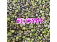 天冬苗種植土壤有什么要求圖3