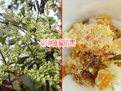 昆明土蜂蜜批發(fā)_土蜂蜜多少一公斤圖3