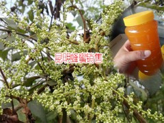 昆明蜂蜜市場_如何鑒別土蜂蜜-圖2