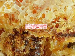 云南德宏州瑞麗百花蜜多少錢(qián)1斤?-土蜂蜜的功效圖2