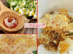 云南保山騰沖野蜂蜜多少錢?_2018土蜂蜜價(jià)格網(wǎng)圖2