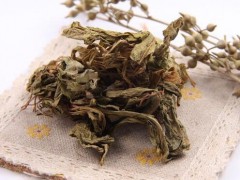 陸良曲靖燈盞花/種子、種苗生產(chǎn)基地、規(guī)范化種植示范基地圖2