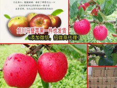 云南紅富士蘋果75mm以上多少錢?圖2