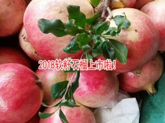 軟籽石榴與螃蟹可以同食嗎?-軟籽石榴公司客服圖2