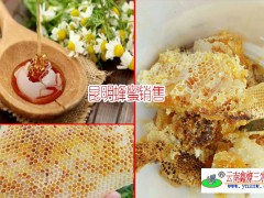 昆明哪里可以買到正宗的土蜂蜜?圖2