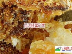 一等蜂蜜的特點_哪里有昆明一等是蜂蜜圖3