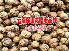 云南保山龍陵老品種麻核桃圖1