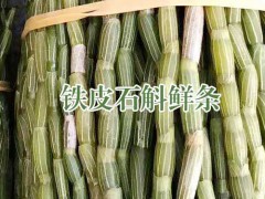 鐵皮石斛水份過多時(shí)葉子會(huì)發(fā)黃_云南石斛種類大全圖3