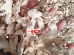 產(chǎn)地干姜(又叫白姜).均姜哪里多?_圖3