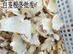 白芨什么功效_小白芨功效是什么？圖2