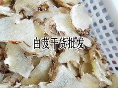 白芨怎么吃以及功效_中藥白芨怎么美容功效_白芨的美容功效圖2