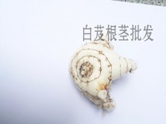 白芨干貨一斤多少錢(qián)?_ 白芨畝產(chǎn)多少斤干貨-圖2