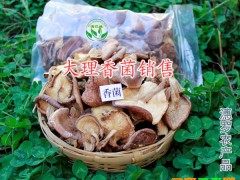 香菌干熊掌菌生產(chǎn)廠家-大理干香蕉&熊掌菌干貨圖3