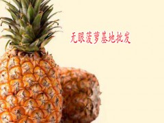 吃菠蘿不用挖眼眼_云南無眼菠蘿圖3