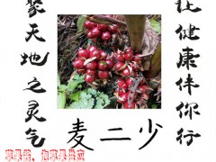 草果醬、泡草果圖2