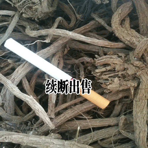 續(xù)斷種植如何提高出苗率