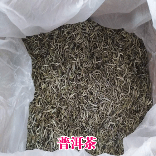 云南哪里有古樹茶_紅河州古茶樹資源分布