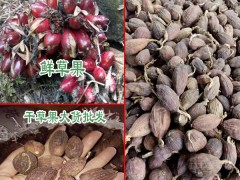 草果價(jià)格_云南草果多少錢一斤圖2