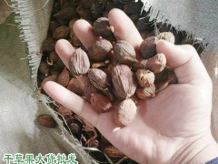 草果價(jià)格_云南草果多少錢一斤圖3