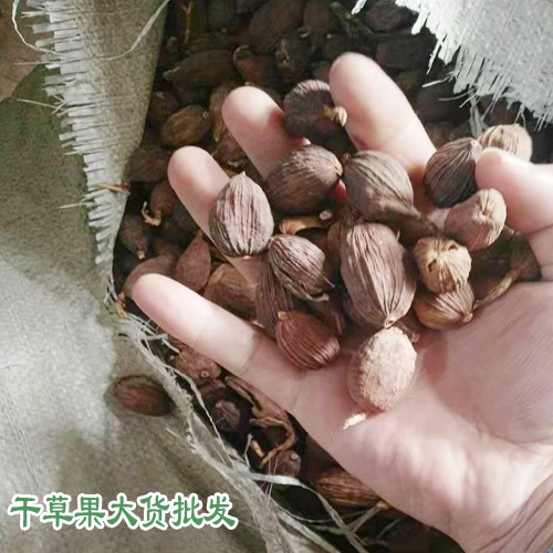 越南、紅河和文山草果產(chǎn)區(qū)量有多少?