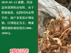 種植重樓的海拔多少適合圖3